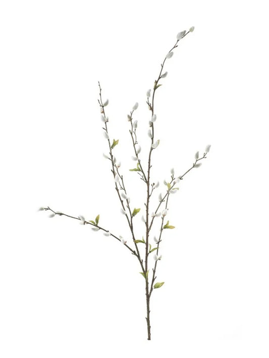 Salix 120 cm