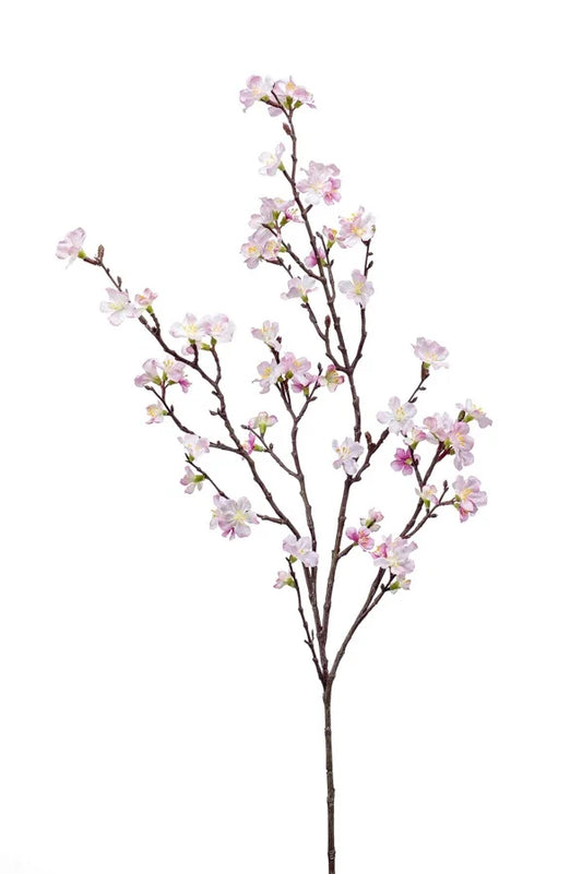 Sakura     95 cm